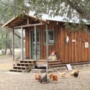 Chicken Coop