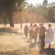 Wedding in Meadow