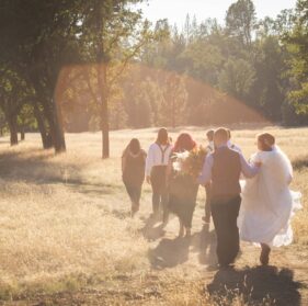 Wedding in Meadow