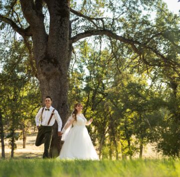 Oa Tree Bride and Groom