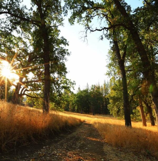 About - Yosemite Bed & Breakfast at Red Tail Ranch