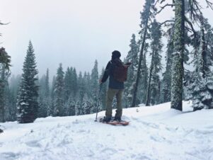 Snowshoeing