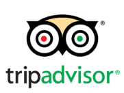 Trip Advisor Logo